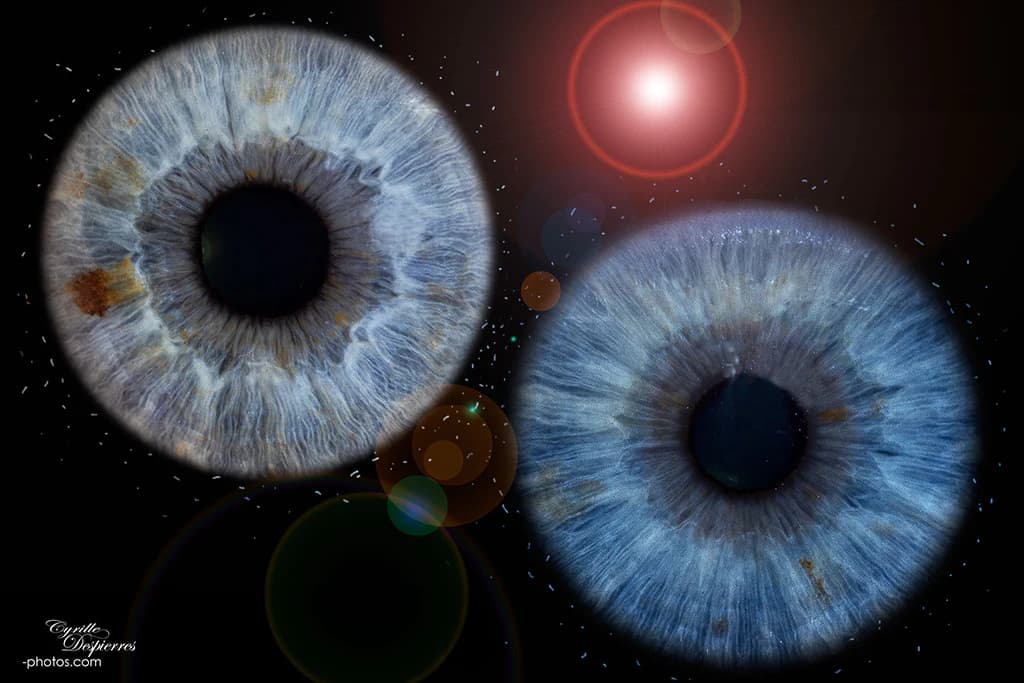 Composition de trois iris bleus avec effets lumineux